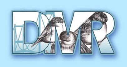 DMR logo