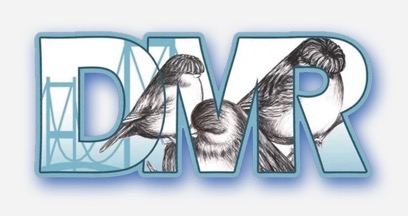 DMR logo