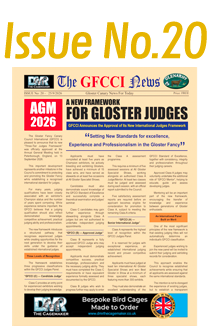 GFCCI News Tmb 20