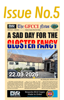 GFCCI News Tmb5