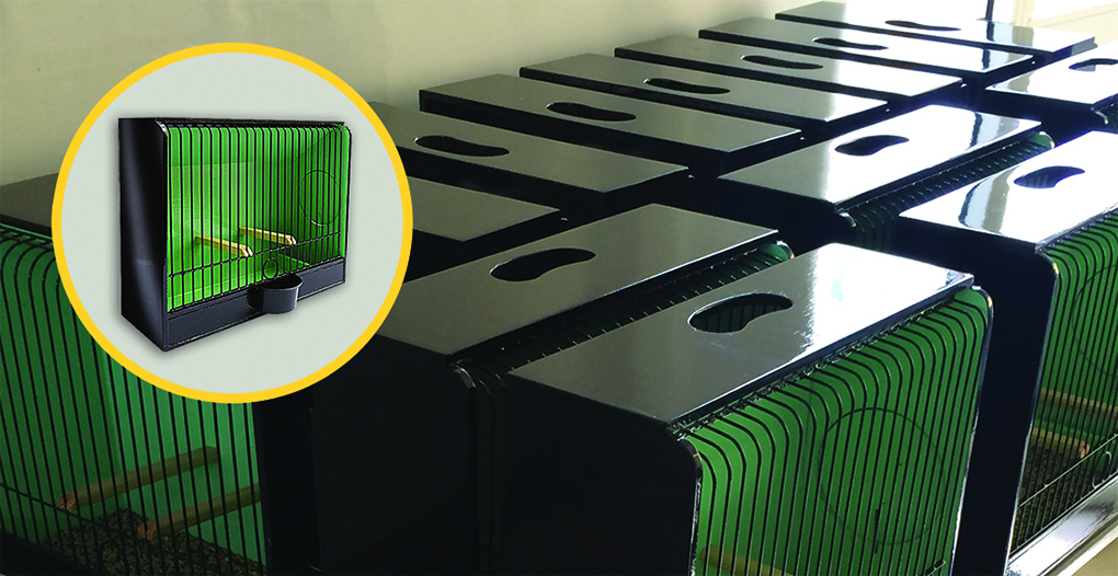 GFCCI Show Cage copy